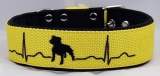 Obojek "Staffbull EKG" š.4cm sv. žlutý + černý softshell