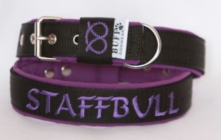 Obojek Staffbull š.3cm černý+fialový softshell