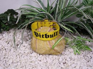 Obojek Pitbull,d 60cm/š 5cm, žlutý,černé písmo
